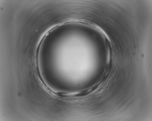 X0000080741148200612151243