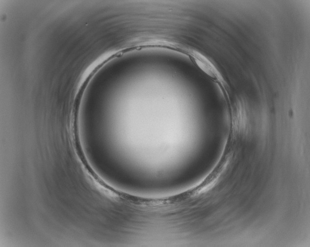 X0000080741149200612151243