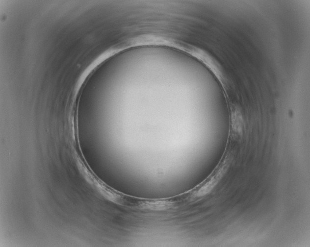X0000080741150200612151243