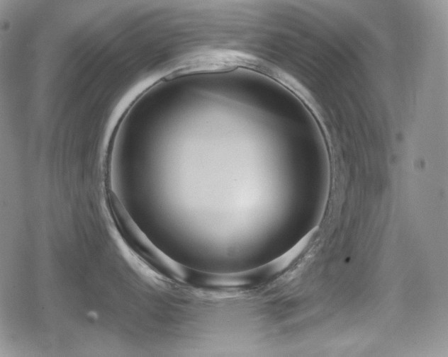 X0000080741152200612151243