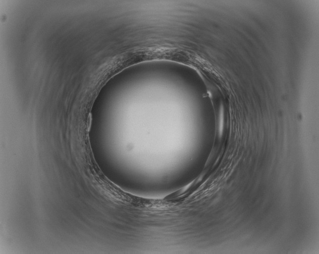 X0000080741153200612151242