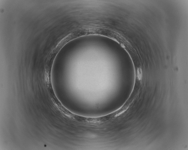 X0000080741155200612151242