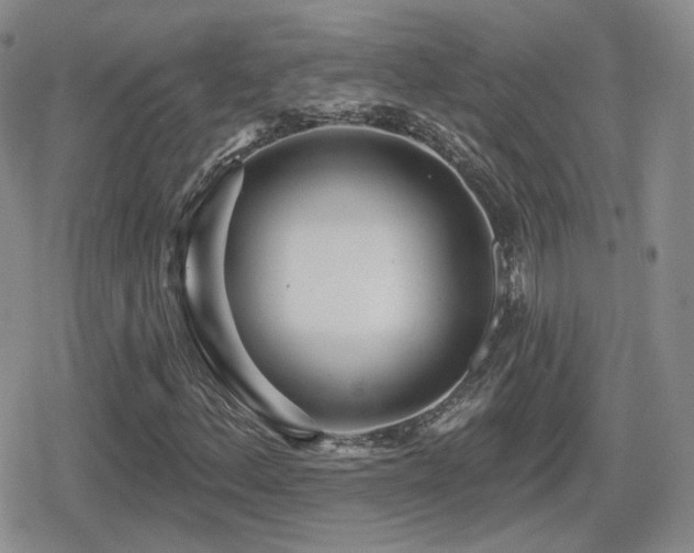 X0000080741156200612151242