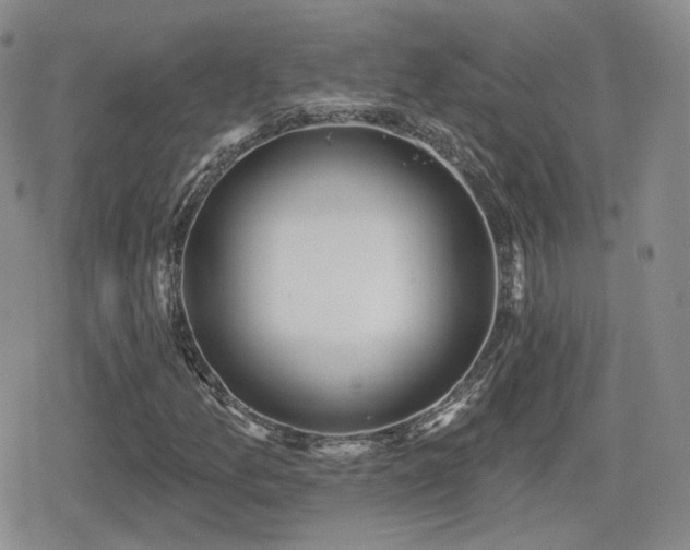 X0000080741157200612151242