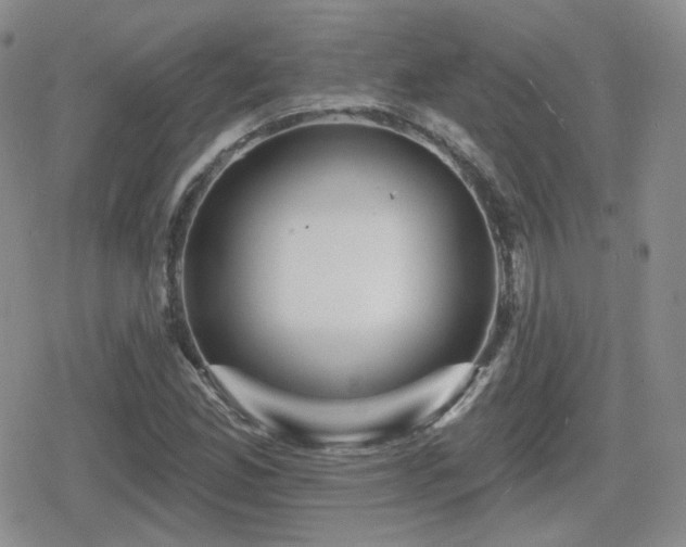X0000080741165200612151242
