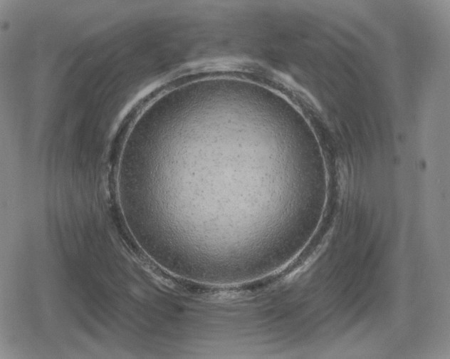 X0000080741166200612151242