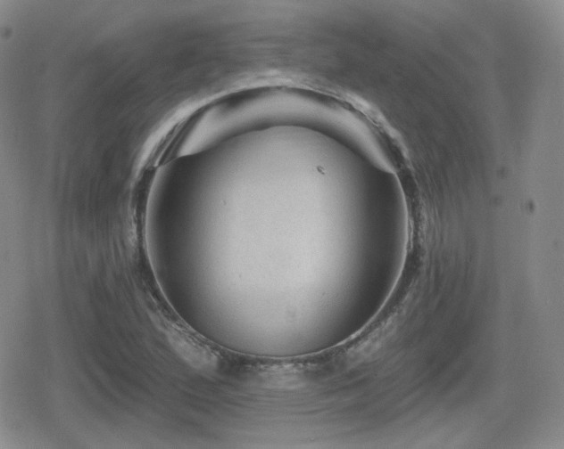 X0000080741167200612151242