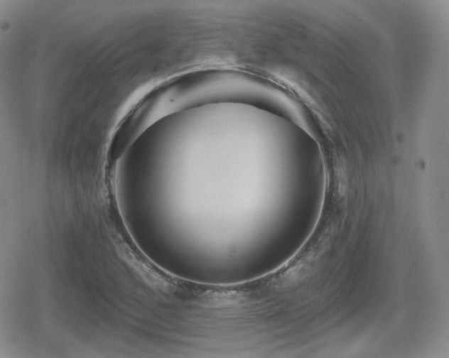 X0000080741168200612151242