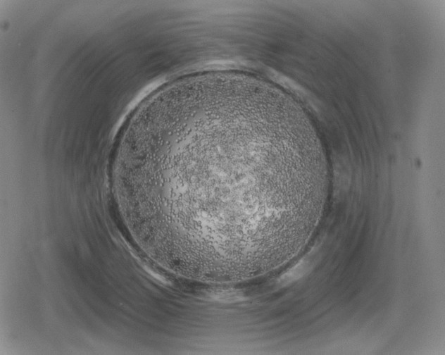 X0000080741170200612151242
