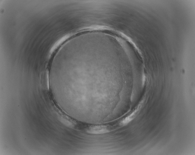 X0000080741171200612151242