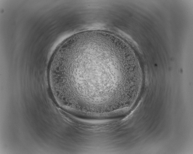 X0000080741174200612151242