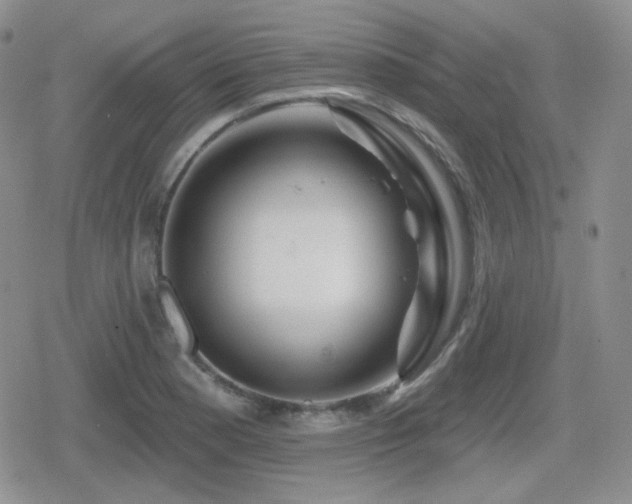 X0000080741177200612151242