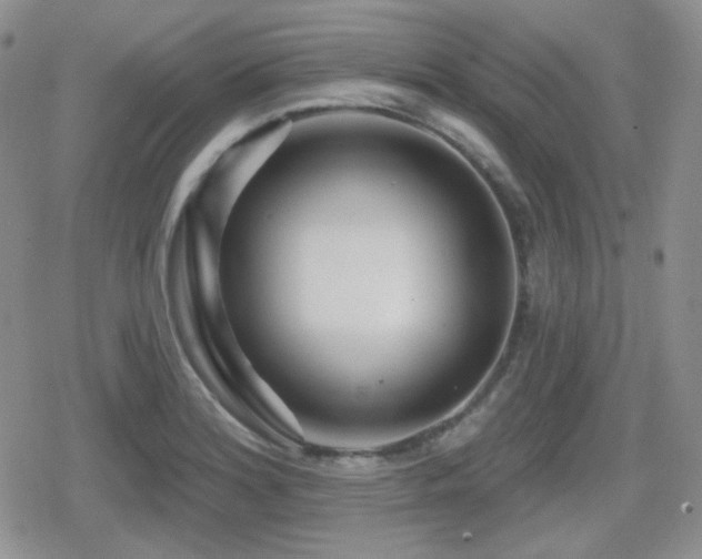 X0000080741180200612151242