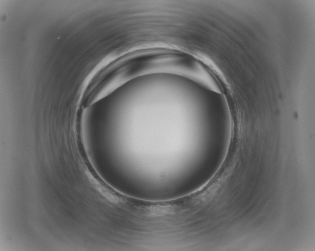 X0000080741181200612151242