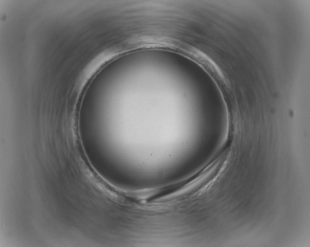 X0000080741182200612151242