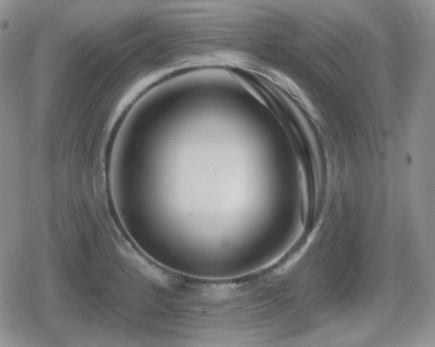 X0000080741184200612151242