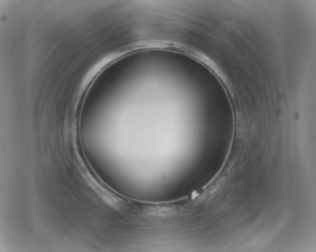 X0000080741187200612151242