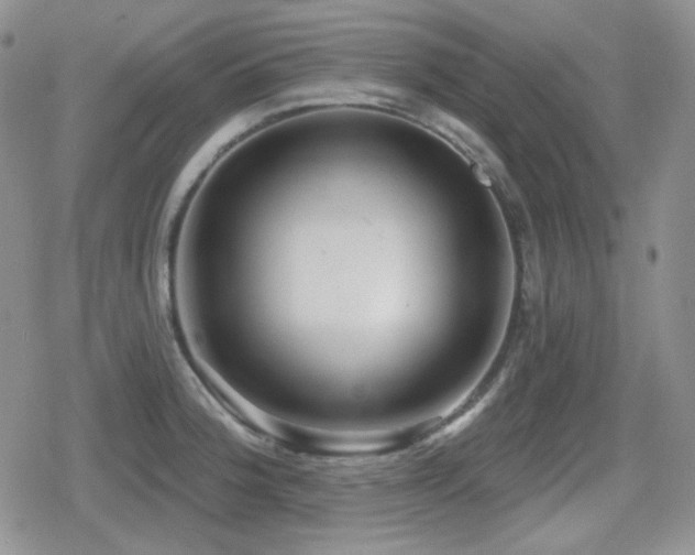 X0000080741188200612151242