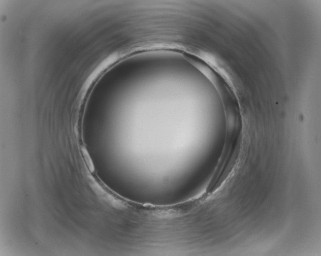 X0000080741189200612151242