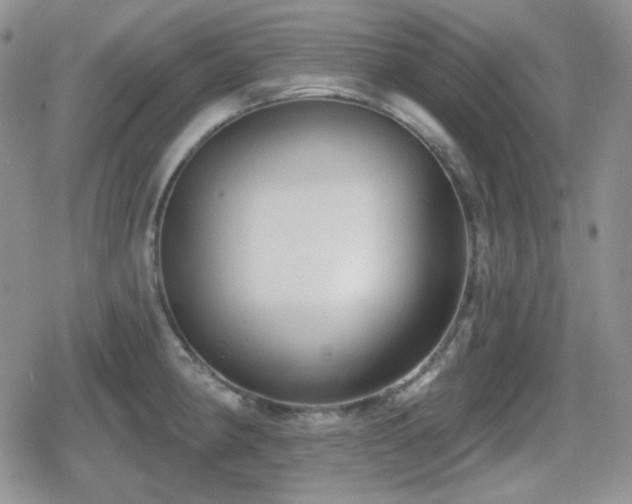 X0000080741190200612151242