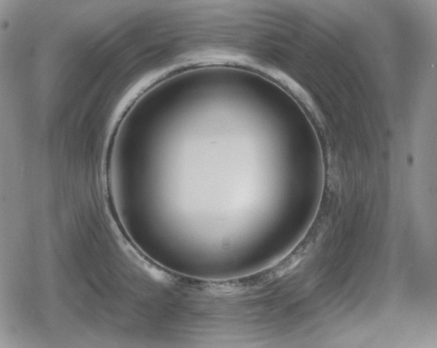 X0000080741191200612151242