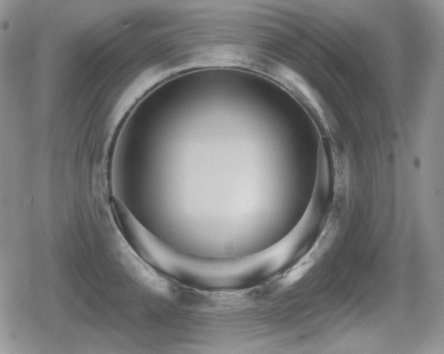 X0000080741192200612151241