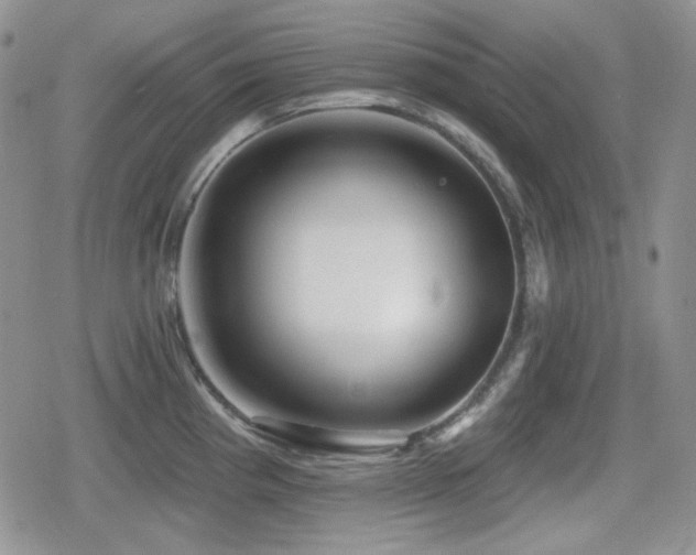 X0000080741193200612151241