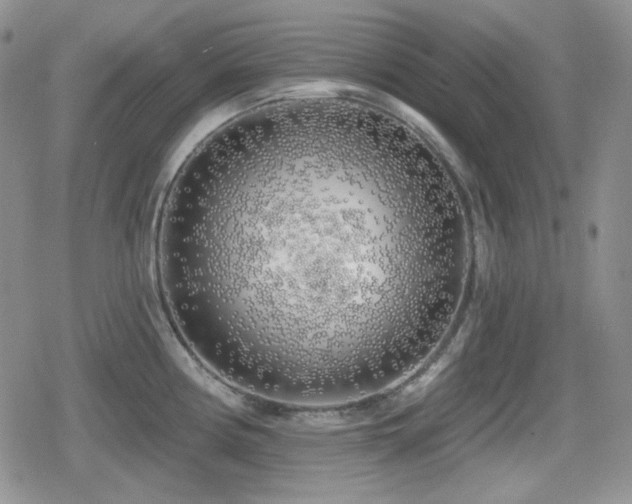 X0000080741194200612151241