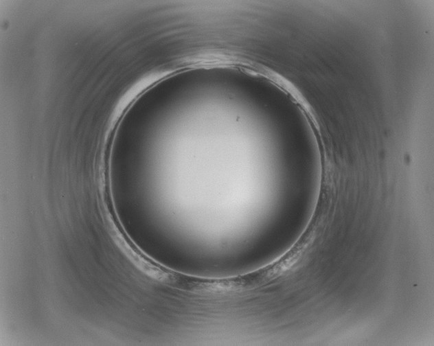 X0000080741195200612151241