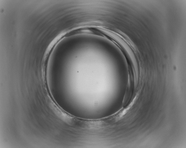 X0000080741196200612151241