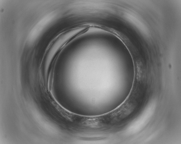 X0000080741198200612151241