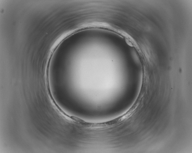 X0000080741199200612151241