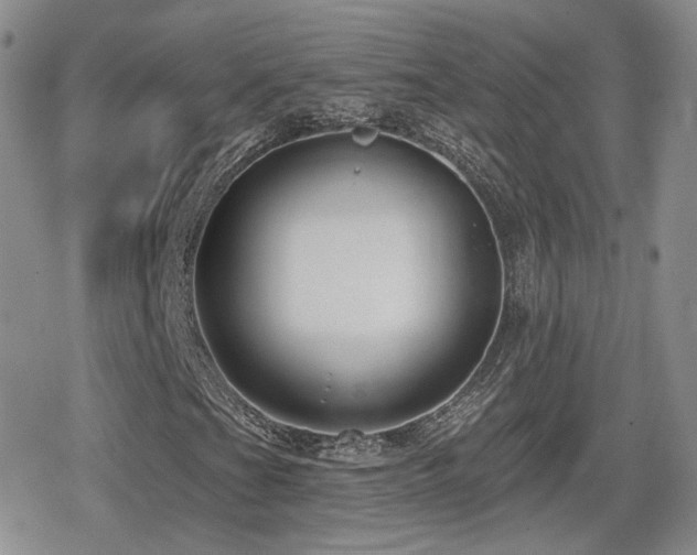 X0000080741201200612151241
