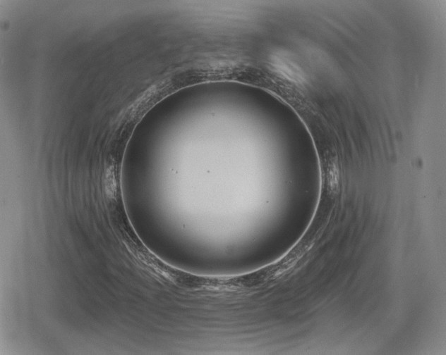 X0000080741204200612151241