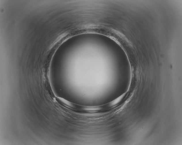 X0000080741209200612151241