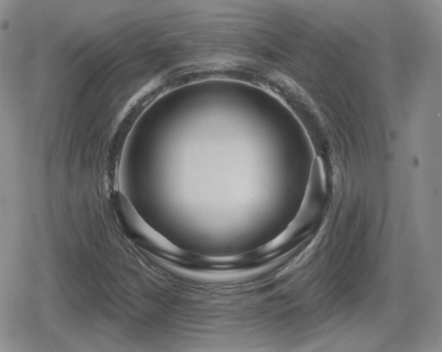 X0000080741210200612151241