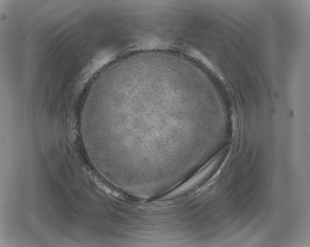 X0000080741213200612151241