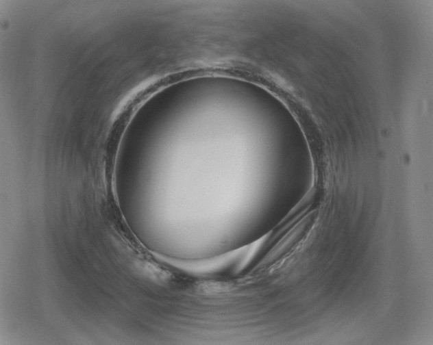 X0000080741214200612151241