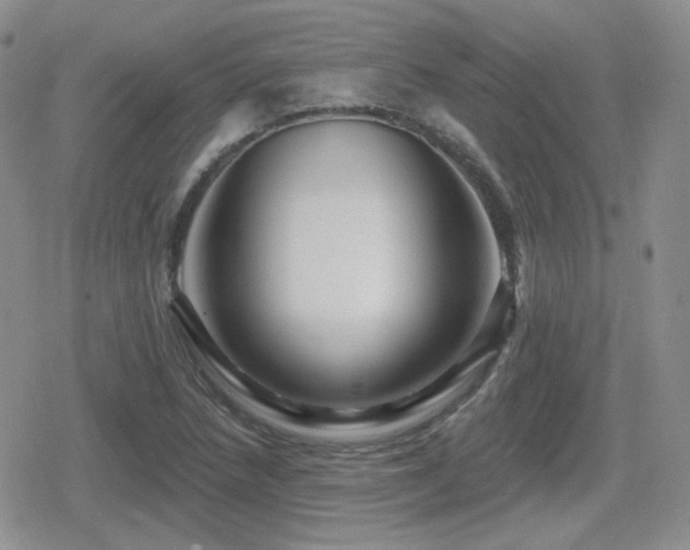 X0000080741218200612151241