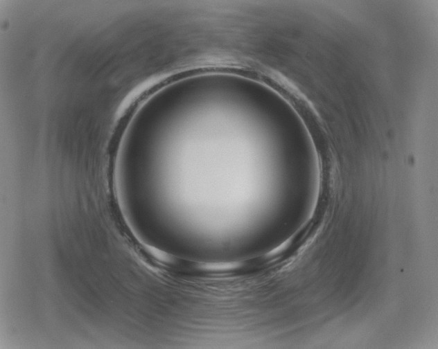 X0000080741222200612151241