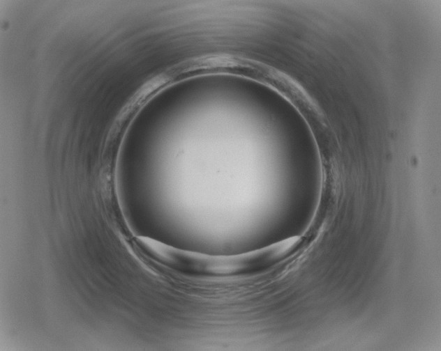 X0000080741225200612151241