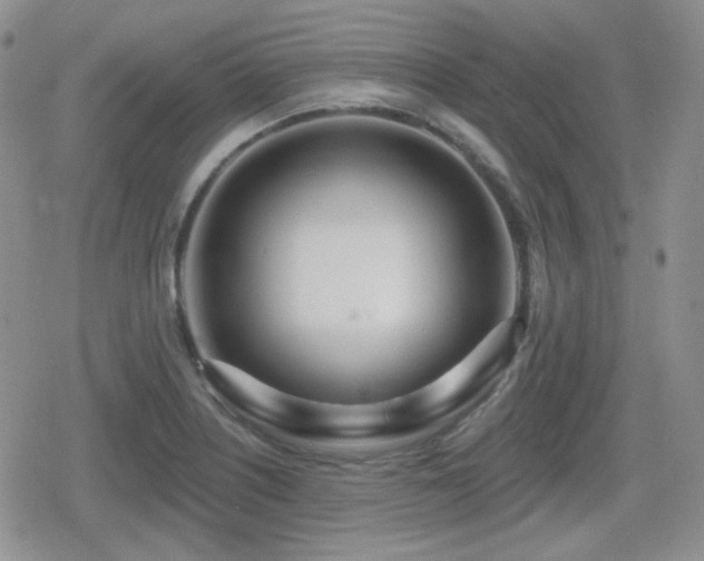 X0000080741226200612151241