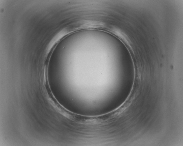 X0000080741227200612151241