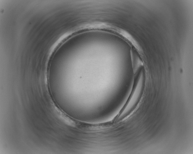 X0000080741232200612151241