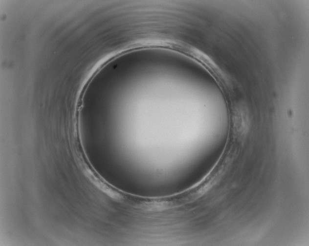 X0000080741236200612151241