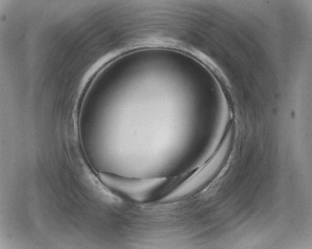 X0000080741238200612151241
