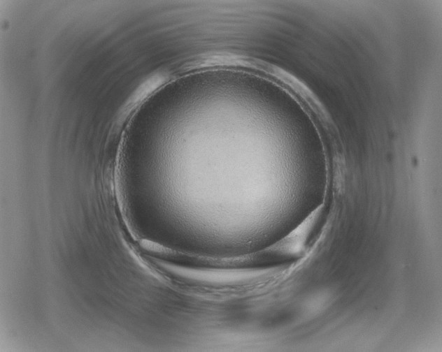 X0000080741241200612151241