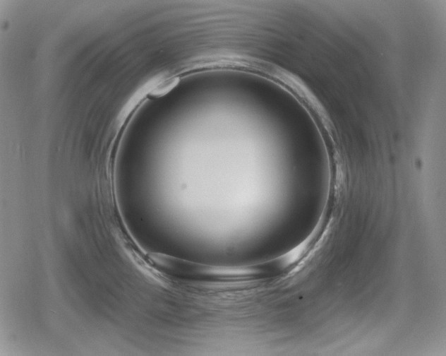 X0000080741242200612151241
