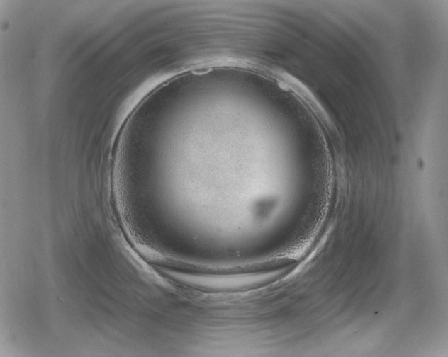 X0000080741244200612151241