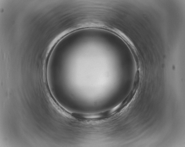X0000080741246200612151241
